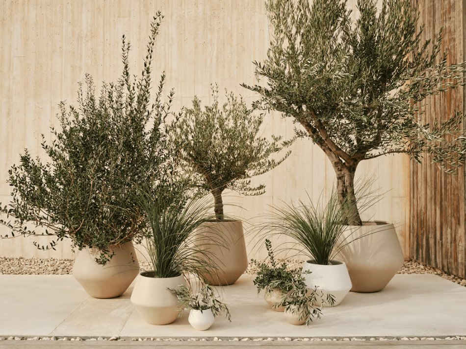 Grove Flowerpot — imagen 2