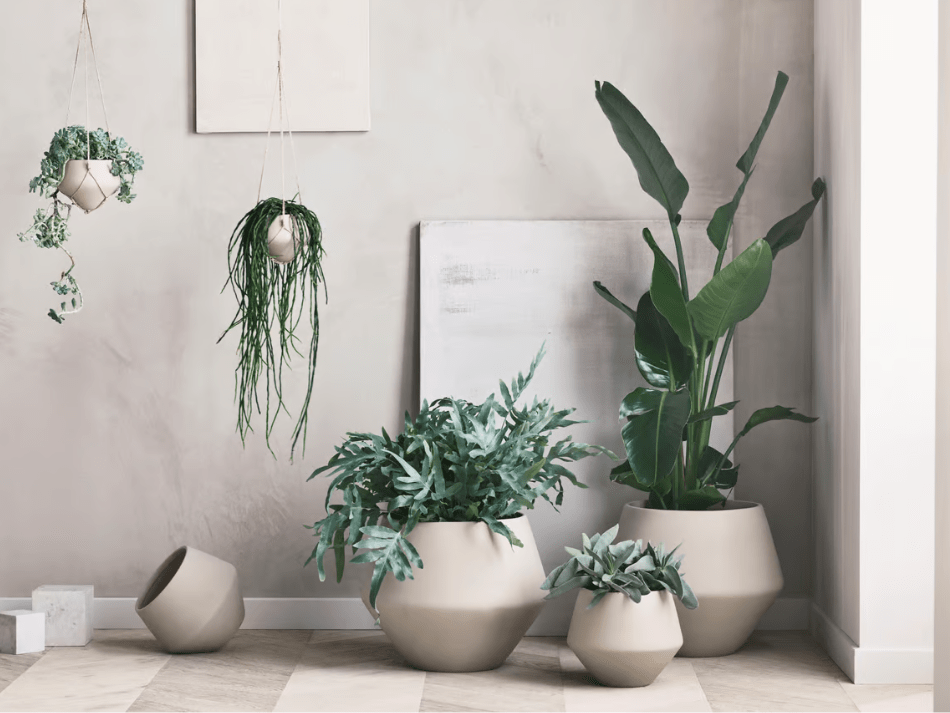 Grove Flowerpot — imagen 3