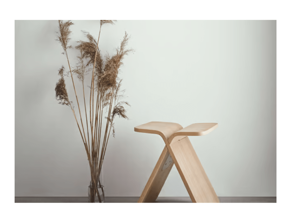 X-Stool — imagen 3